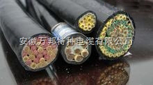 DJYDPYDP DJYDP2YDP2低煙無鹵計(jì)算機(jī)電纜