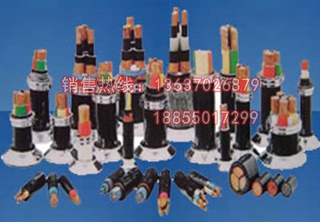 耐高溫電纜，塑料絕緣和護(hù)套控制電纜