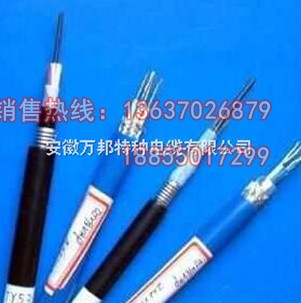 ia-K2YV本安防爆控制電纜