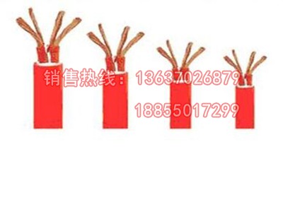 YGCB硅橡膠電纜