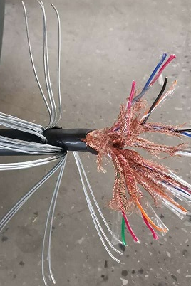 低煙無(wú)鹵計(jì)算機(jī)電纜WDZ-DJYPV32 WDZ-DJYVP32