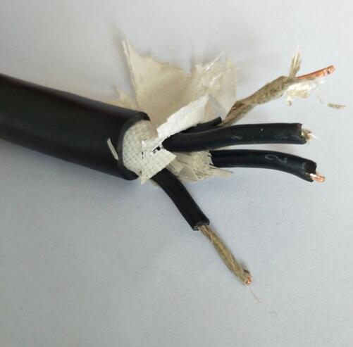 IA-DJYDPYD（R）P低煙無(wú)鹵計(jì)算機(jī)電纜